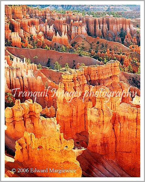 450331   Bryce National Park